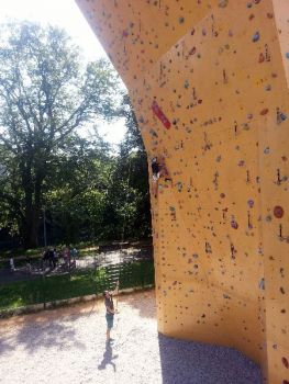 20160819_105237.jpg