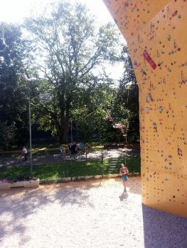 20160819_105314.jpg