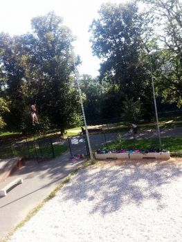 20160819_105319.jpg
